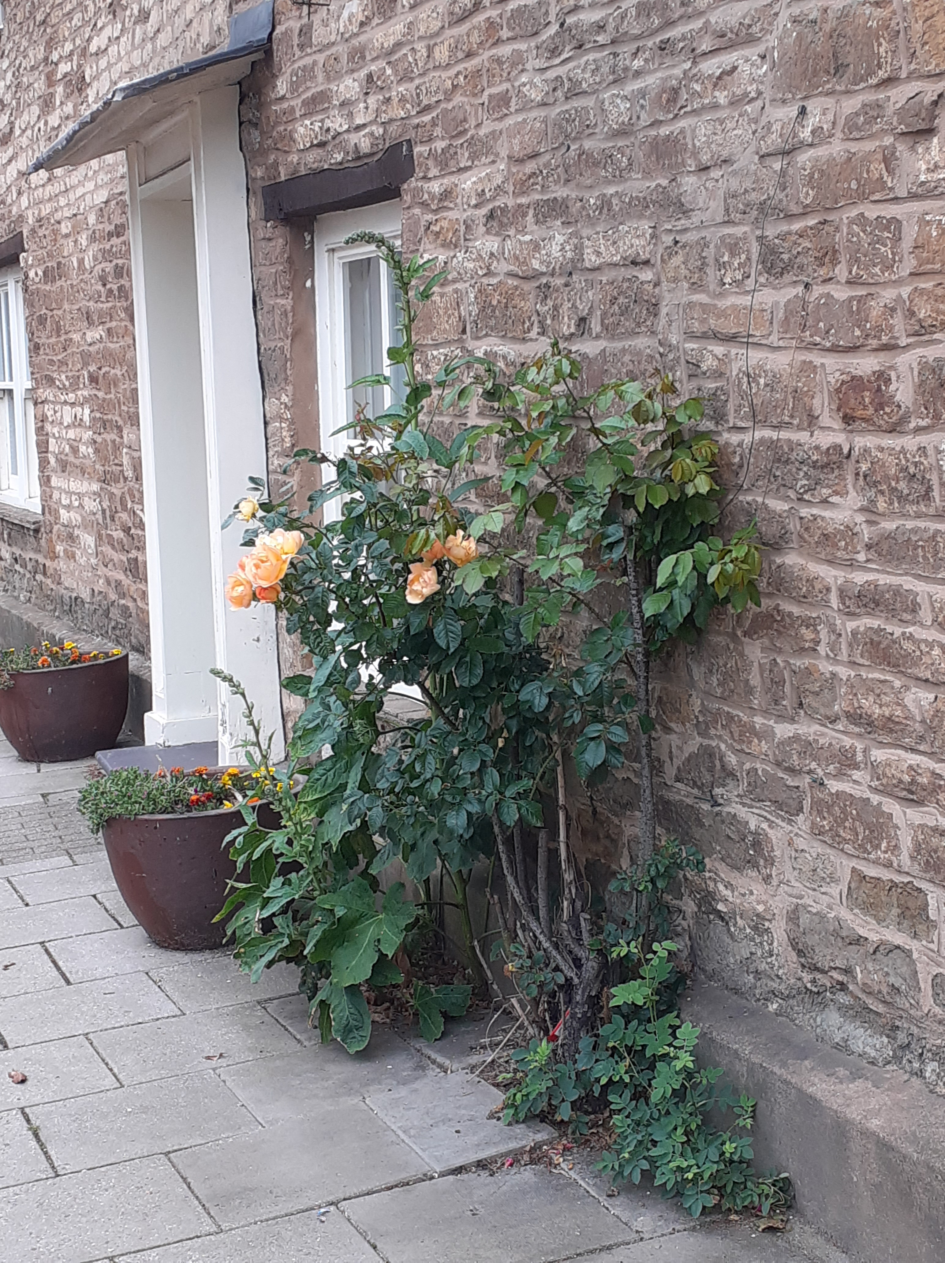 A walk around Oakham – Engineering, history and ecclesiology