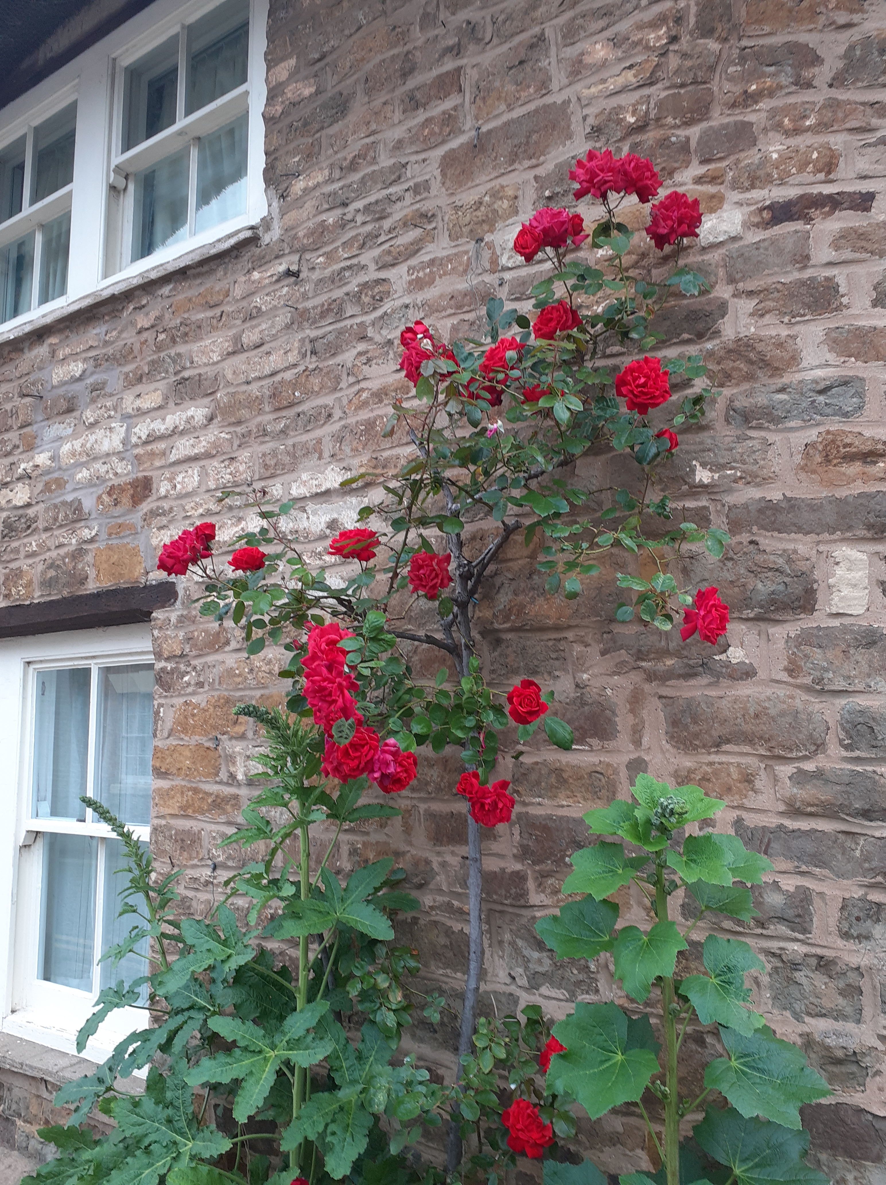 A walk around Oakham – Engineering, history and ecclesiology